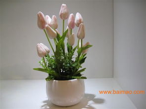 從安雅花卉看仿真花與工藝品市場的融合發(fā)展